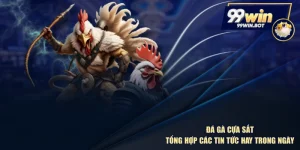 Đá Gà Cựa Sắt