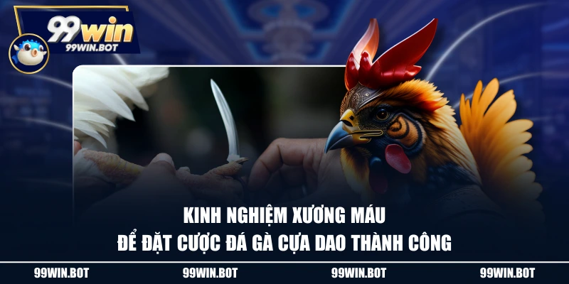 Kinh nghiệm xương máu để đặt cược đá gà cựa dao thành công