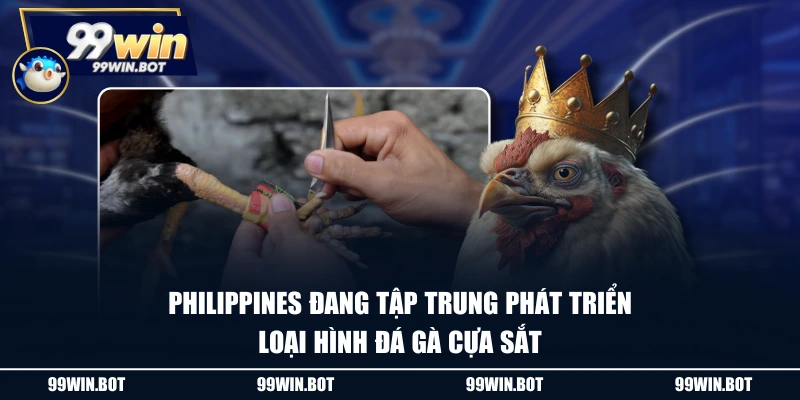 Philippines đang tập trung phát triển loại hình đá gà cựa sắt