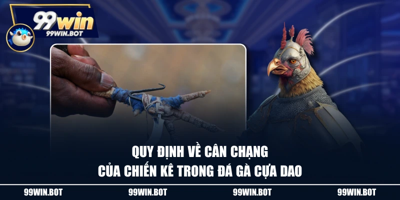 Quy định về cân chạng của chiến kê trong đá gà cựa dao