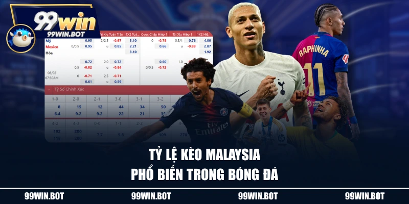 Cách Tính Tỷ Lệ Kèo Malaysia Chuẩn Xác Cho Người Mới 1 Tỷ lệ kèo Malaysia phổ biến trong bóng đá